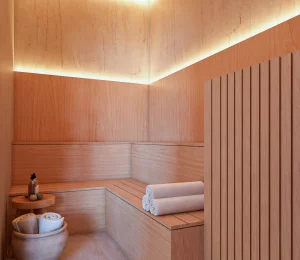 Sauna Seca